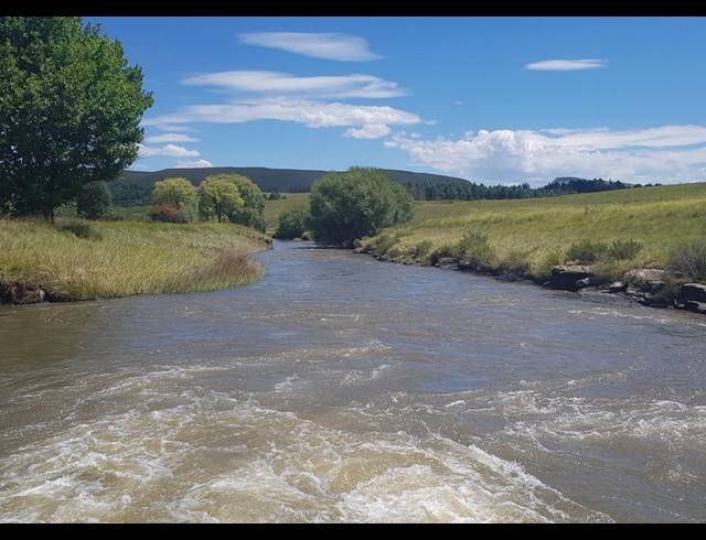 80HA FARM FOR SALE IN UNDERBERG RURAL
